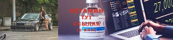 шишки Дедовск