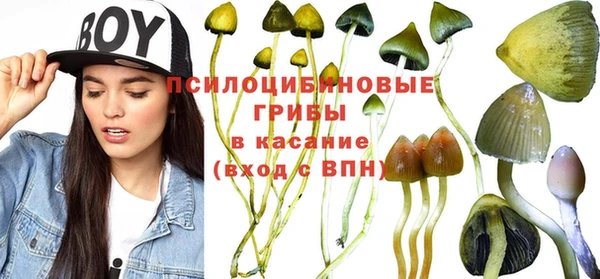 прущие крисы Костерёво