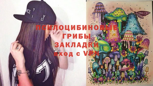 стаф Коряжма