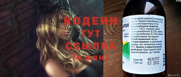 стаф Коряжма