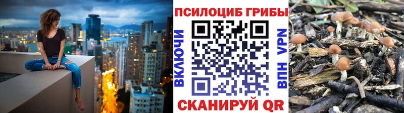 Псилоцибиновые грибы Psilocybine cubensis  даркнет сайт  Коммунар 